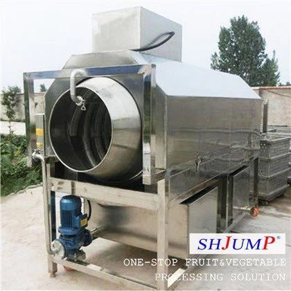 ড্রাম রোলার ওয়াশিং মেশিন