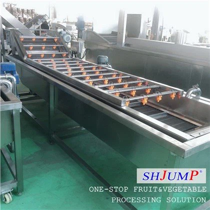 ফ্রুট এয়ার ব্লোয়িং ওয়াশিং মেশিন