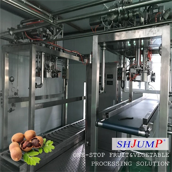 Tamarind Puree Processing Line