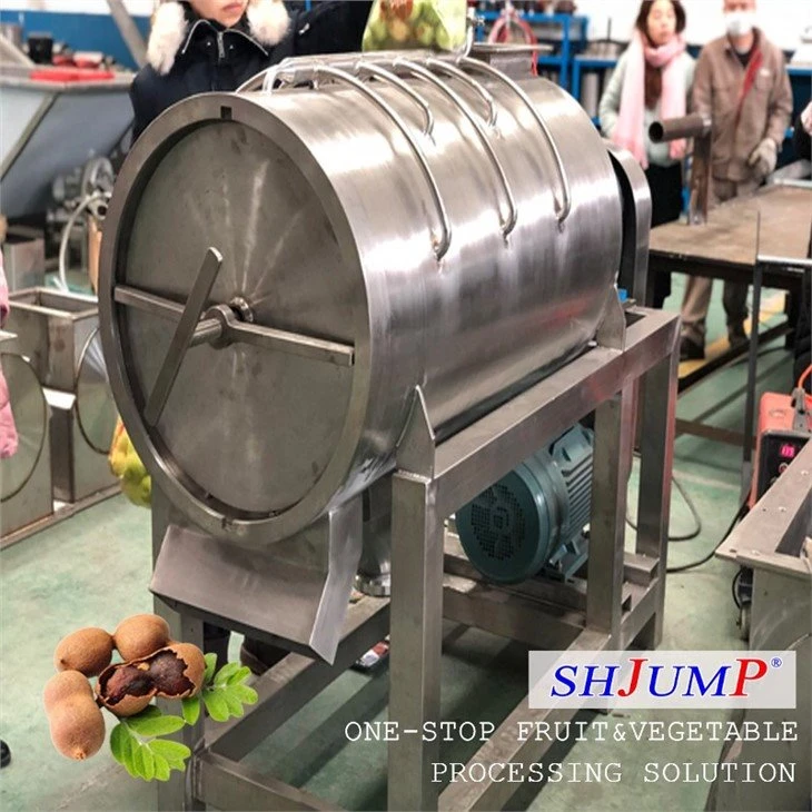 Tamarind Puree Processing Line