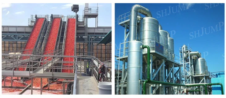 টার্নকি সমাধান টমেটো পেস্ট ঘনত্ব মেকিং লাইন